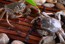 如何判断螃蟹是活的还是死的，螃蟹死活怎么看
