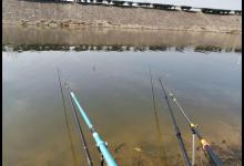 老手一根竿、新手摆地摊？错！把鱼钓上来才是王道