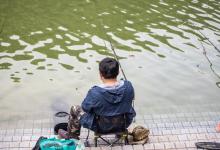 夏季天气炎热鱼不好钓，新手学会这三招