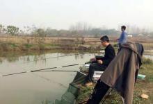 一遇走水就没法钓啦？别傻了，按我说的方法钓