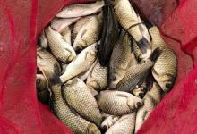 钓鱼新手要养成的四个好习惯，让你渔获翻倍