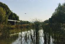 要想钓获好，到底是钓位重要还是饵料重要