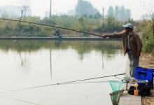 都说玉米适合钓大鱼，你怎么就不行？是因为这6点没做好