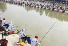 你真的会打频率吗？这个问题老钓客都犯迷糊