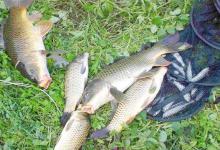 天冷钓远，天热钓深，不冷不热钓边