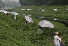 新手钓鱼遇到这五种钓点千万别错过，个个都是鱼窝