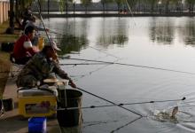 大鱼咬钩前原来有征兆