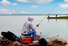 有鱼咬钩却钓不上来？老司机教你诀窍