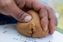 有漂相却总不中鱼，庆幸老司机指导有方