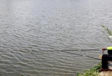 如何处理截口鱼？我来教你