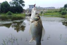 同样是跑铅，为什么别人连竿你没口