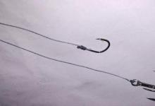 钓鱼用的子线长短有讲究，不懂的看下面