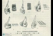 钓鱼中各种鱼类的食性类型和变化