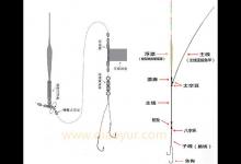 鱼线种类及线组的绑法详细图解