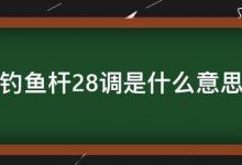 想知道28调的鱼竿是什么意思，就得搞明白鱼竿的调性是什么