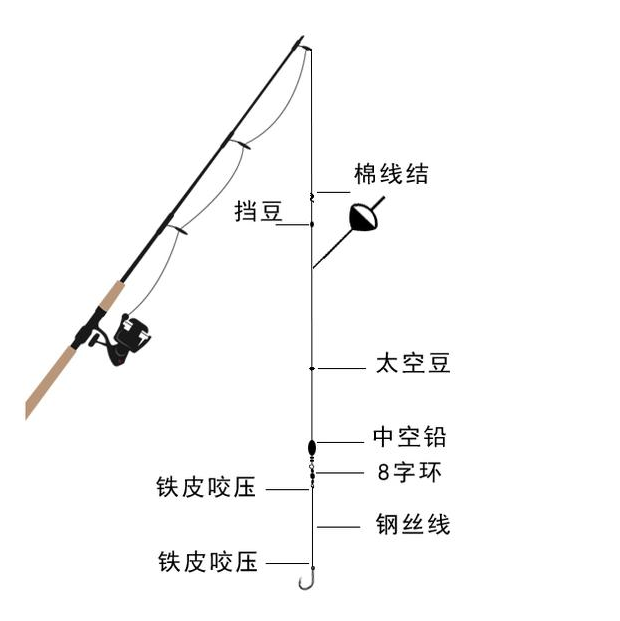 那么今天关于海钓鲈鱼线组的知识就分享