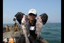 近海船钓三字秘诀（闷、逗、领）