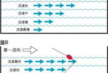 浅谈矶钓的操竿控线及张线技巧