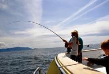 在不同季节该如何选择海钓的钓位