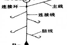 海钓用漂有几种方式？今天讲5种方式