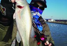 室外温度想要钓鲈鱼不简单，俩我常用的杀手锏