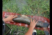 给路亚新手装备选择上的7小建议，别被忽悠