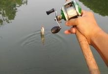 路亚竿吃灰？这几种钓法会有意外惊喜哦