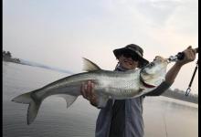 羊毛钩算不算路亚？是因为钓翘嘴太厉害了吗