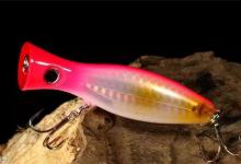 五招教你降低路亚鲈鱼跑鱼率