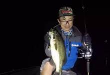 秋季夜钓路亚攻略，神饵排行榜技巧安全