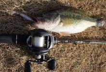 路亚鲈鱼，哪些标点能上鱼？