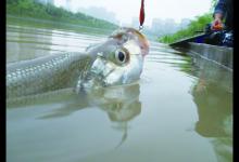 浑水路翘，我总结出四个心得，简单又实用