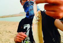 想要钓马口？路亚马口的3个实用技巧