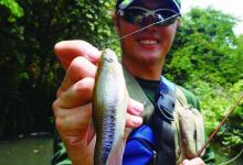 什么是飞蝇钓法？由浅入深详细解答