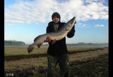 路亚狗鱼，这四个技巧一定要知道