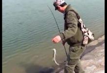 冬季路亚翘嘴没有鱼获？一定是这五个点没掌握好