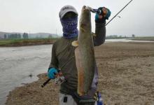 我是这样路亚鲶鱼的，分享自己多年路亚鲶鱼的心得！