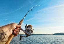 鱼群疯狂炸水却对拟饵无动于衷，分析原因，谈破解之法