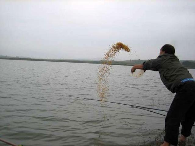 使用玉米粒钓鱼的经历