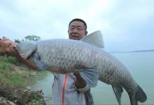 李大毛独门饵料配方，专钓大鱼