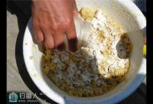 化氏钓鲫鱼饵料配方及拉饵制作技巧