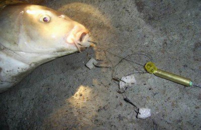 爆炸钩怎么用,上鱼才能更快