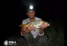 野河夜钓鲤鱼的打窝用饵技巧