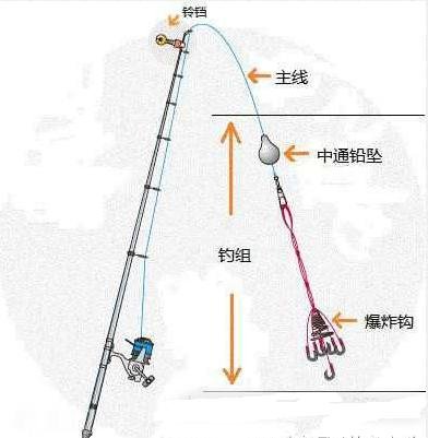 抛竿底钓线组示意图图片