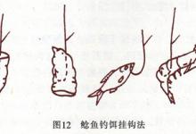 非常全面的淡水鱼类的饵料配方(鲫鲤草鱼鲢鲶罗非)