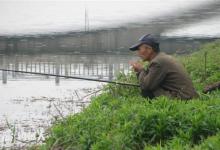 夏季江河水库野钓打窝用饵技巧