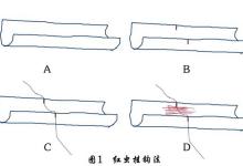 春季钓鱼用虫夏季钓鱼用面秋季钓鱼用蚂蚱