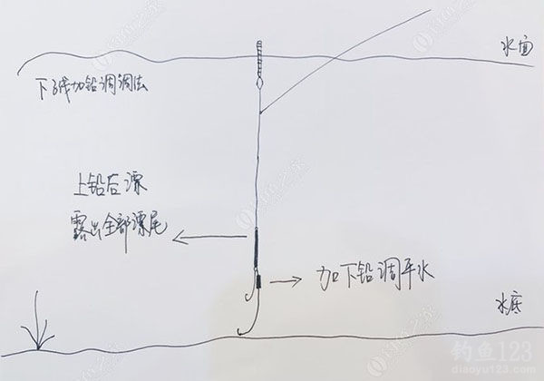 阿波钓法图解 淡水图片