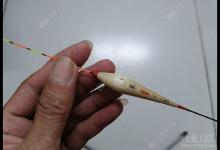 调五钓三出口不清晰，问题在这里，只要做好这几点，有口必上鱼