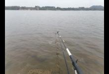 钓鱼常犯的几个错误，你中招了吗？